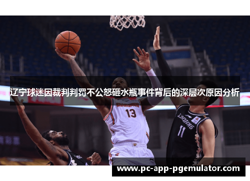 辽宁球迷因裁判判罚不公怒砸水瓶事件背后的深层次原因分析 辽宁球迷因裁判判罚不公怒砸水瓶事件背后的深层次原因分析