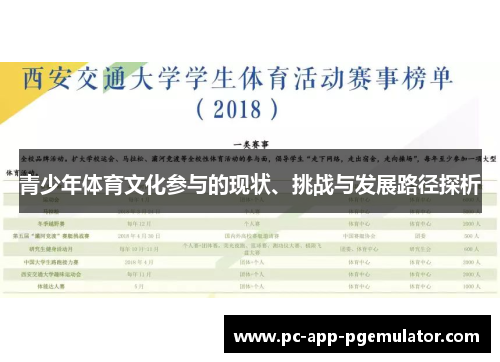 青少年体育文化参与的现状、挑战与发展路径探析 青少年体育文化参与的现状、挑战与发展路径探析