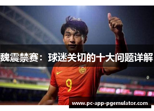 魏震禁赛：球迷关切的十大问题详解