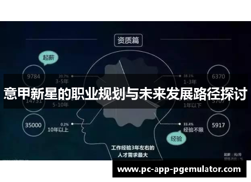 意甲新星的职业规划与未来发展路径探讨