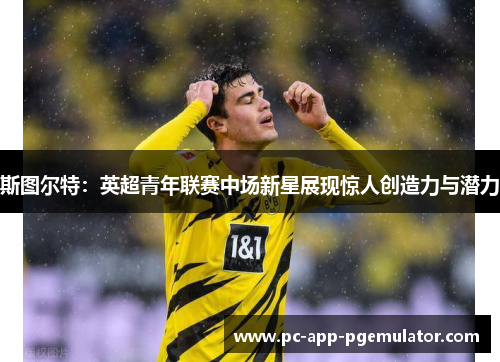 斯图尔特:英超青年联赛中场新星展现惊人创造力与潜力 斯图尔特:英超青年联赛中场新星展现惊人创造力与潜力