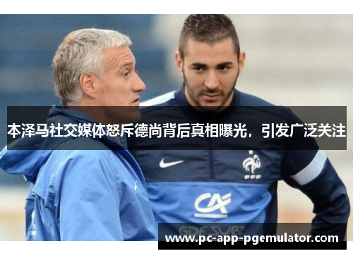 本泽马社交媒体怒斥德尚背后真相曝光，引发广泛关注