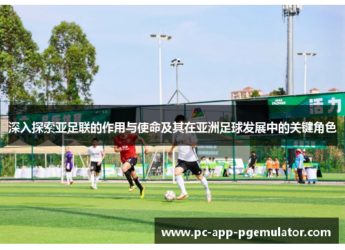 深入探索亚足联的作用与使命及其在亚洲足球发展中的关键角色