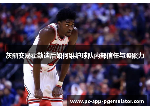 灰熊交易霍勒迪后如何维护球队内部信任与凝聚力