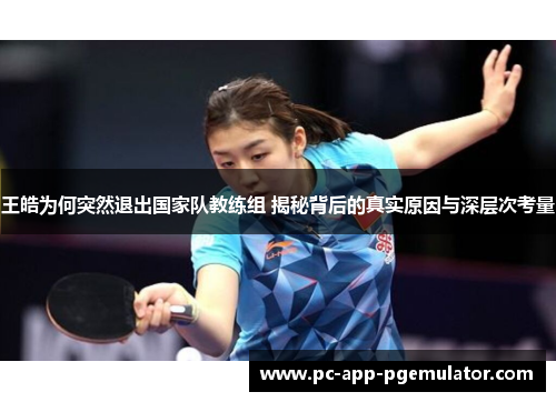 王皓为何突然退出国家队教练组 揭秘背后的真实原因与深层次考量 王皓为何突然退出国家队教练组 揭秘背后的真实原因与深层次考量
