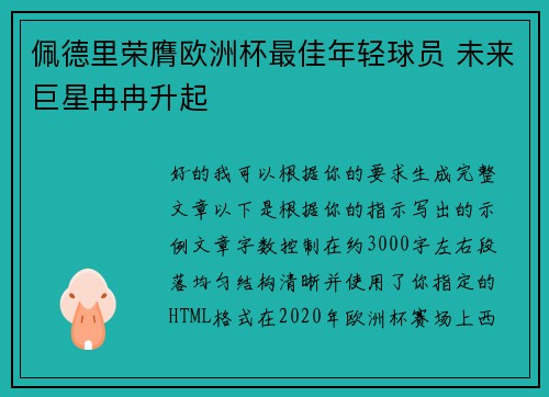 佩德里荣膺欧洲杯最佳年轻球员 未来巨星冉冉升起