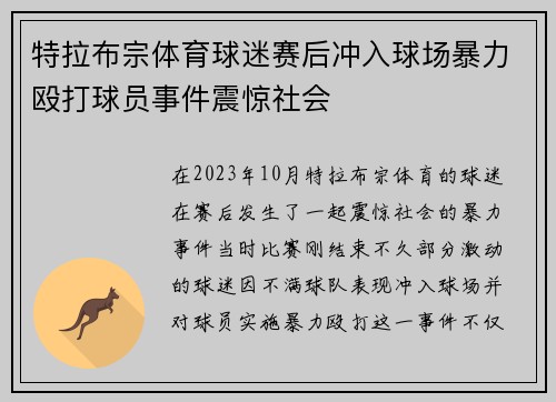 特拉布宗体育球迷赛后冲入球场暴力殴打球员事件震惊社会
